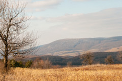 Bakony-Pannon-10
