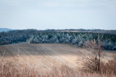 Bakony-Pannon-14