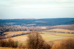 Bakony-Pannon-17