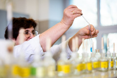 Pesthy-Marton-IMG_8856-20250402