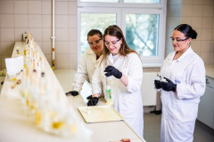 Pesthy-Marton-IMG_8903-20250402