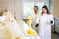 Pesthy-Marton-IMG_8908-20250402