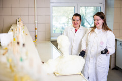 Pesthy-Marton-IMG_8917-20250402