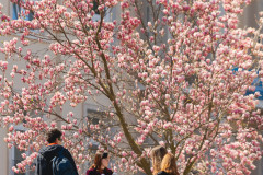 Hallgatói életképek