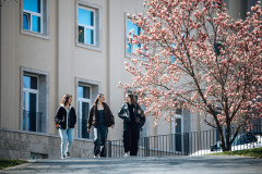 Pesthy-Marton-IMG_9510-20250403