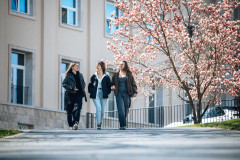 Pesthy-Marton-IMG_9531-20250403