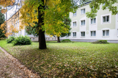 Pesthy-Marton-PES_6965-20251015