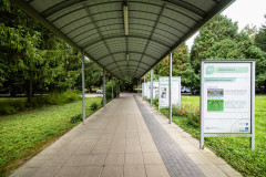 Pesthy-Marton-PES_7006-20251015