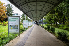 Pesthy-Marton-PES_7007-20251015